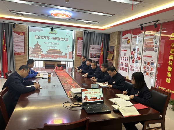 聯(lián)合黨支部召開黨員大會(huì)傳達(dá)學(xué)習(xí)全國兩會(huì)精神.jpg