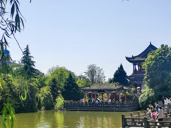 東湖內(nèi)湖之遠(yuǎn)觀凌虛臺(tái)，5月2日拍.jpg