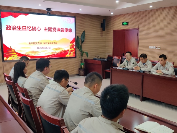 7月2日，主題黨日活動(dòng)現(xiàn)場(chǎng)照片.jpg