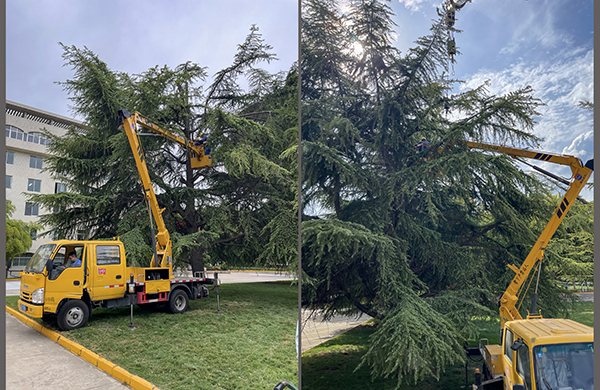 1968d0274fb588dbbaf4c163f7830882  副圖  600.jpg