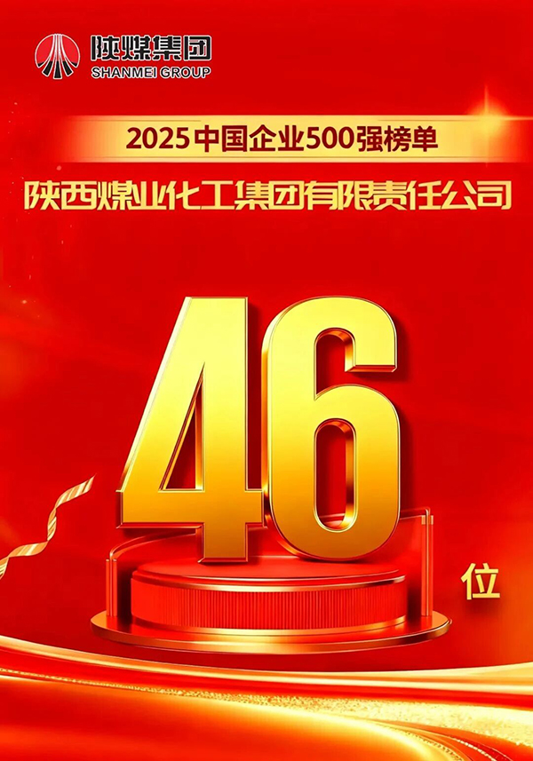 171758069399182679.jpg 20250916142352_28987.jpg